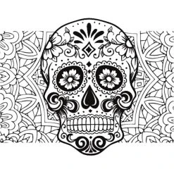 DYEDBRO Dia De Muertos Kit De Protection De Cadre, Transparent/noir