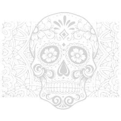 DYEDBRO Dia De Muertos Kit De Protection De Cadre, Transparent/blanc