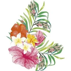 DYEDBRO Hawaii Kit De Protection De Cadre