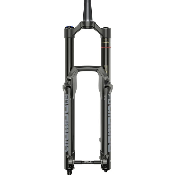 Rock-shox RockShox Domain RC Fourche De Suspension 29" 160mm 15x110mm 44mm, Noir