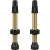 WTB Valve Tubeless Presta Laiton 2 Pièces 46mm, Or/noir