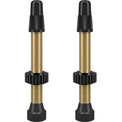 WTB Valve Tubeless Presta Laiton 2 Pièces 46mm, Or/noir